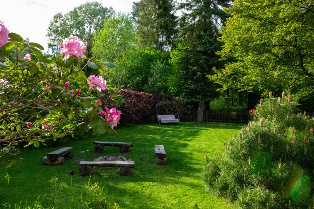 Backyard with benches and plants